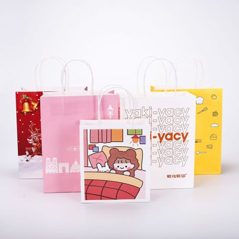 Wholesale Custom Merchandise Shopping Bags Wholesale Printed Paper Bag